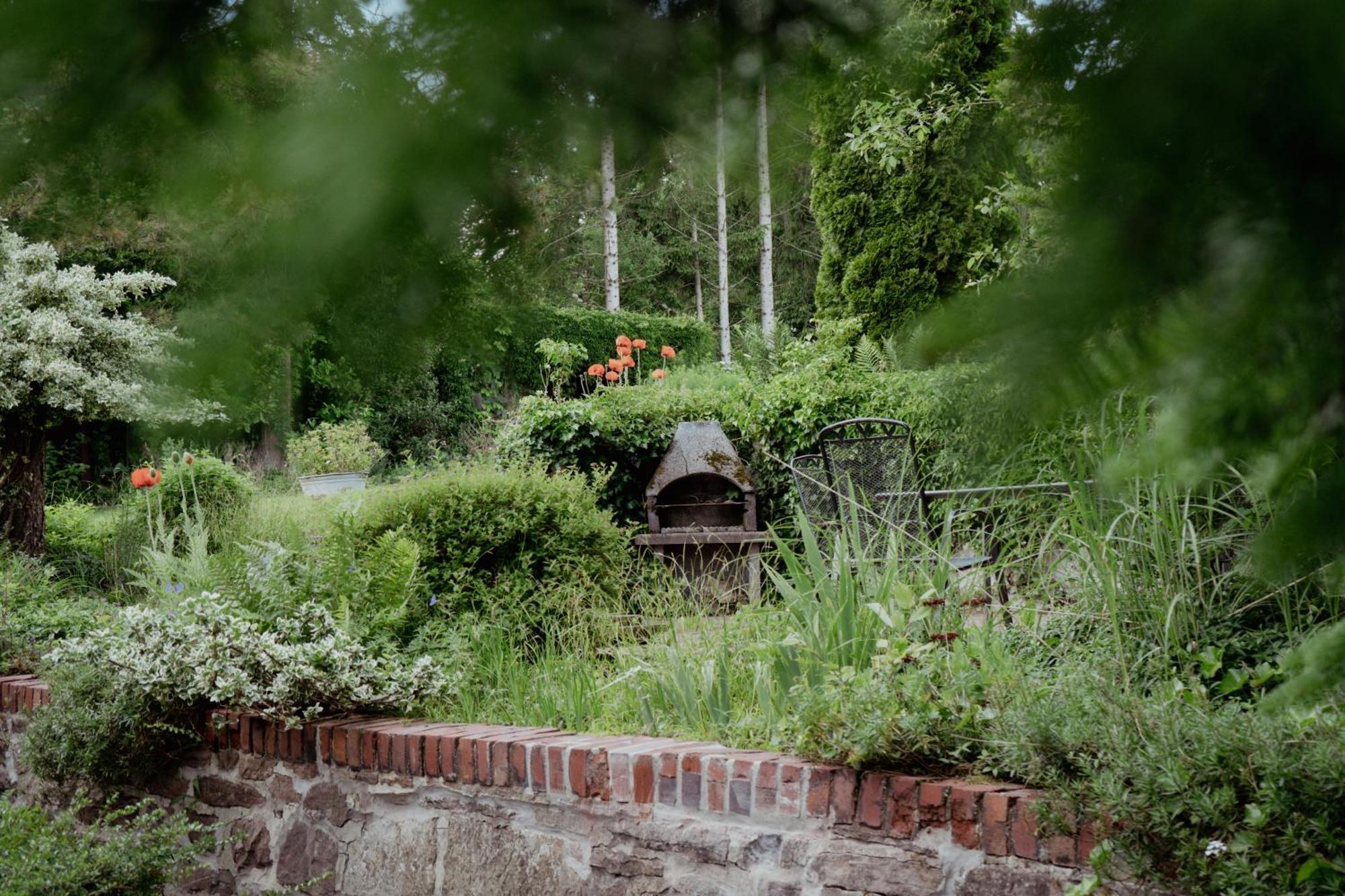 Idyllische Ferienwohnung Im Kalletal ภายนอก รูปภาพ
