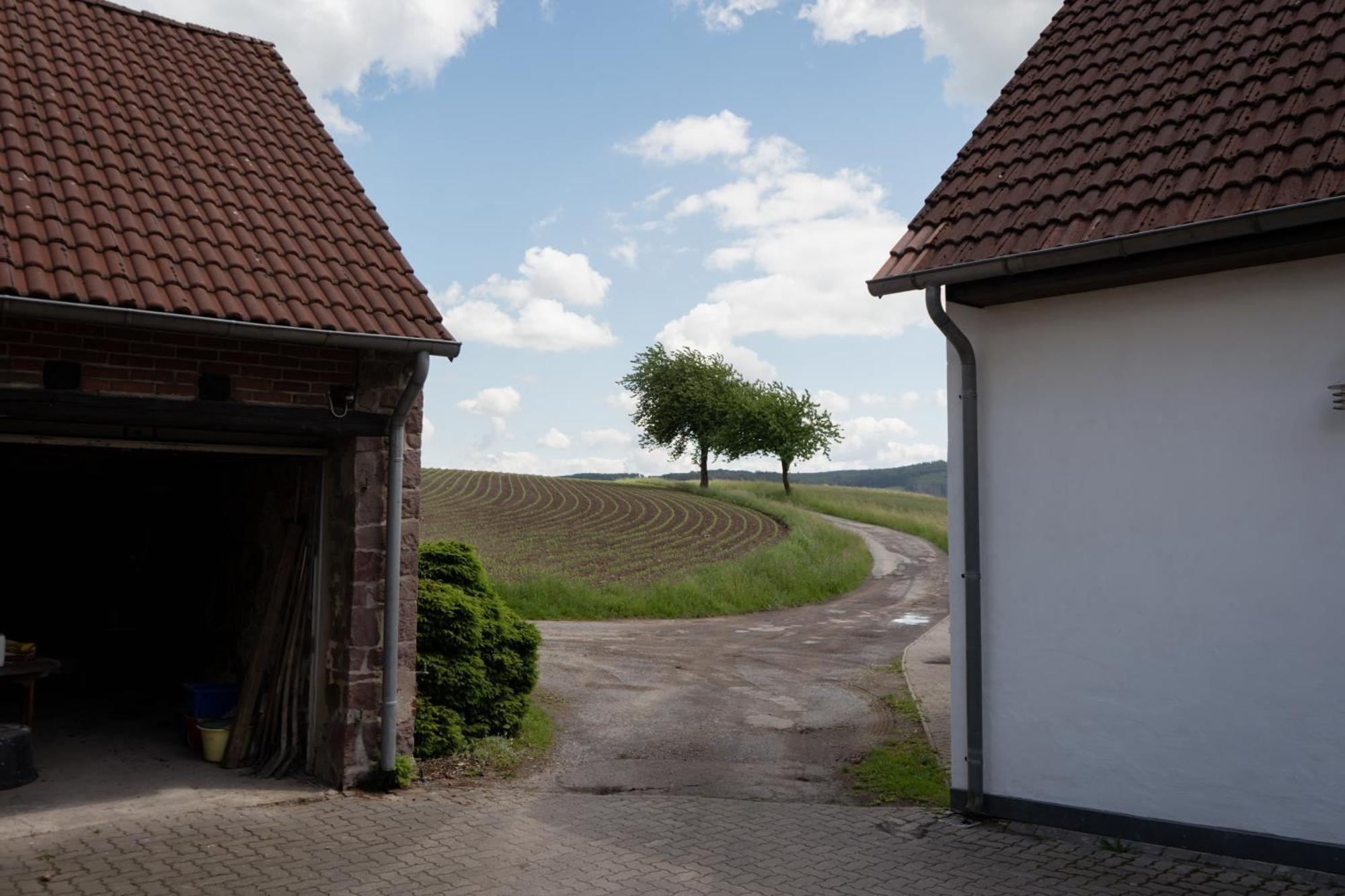 Idyllische Ferienwohnung Im Kalletal ภายนอก รูปภาพ