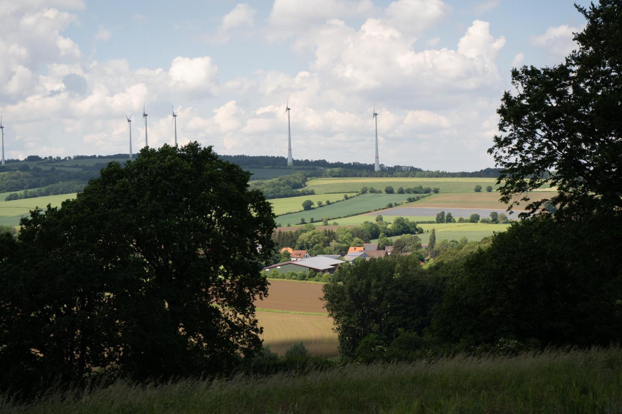 Idyllische Ferienwohnung Im Kalletal ภายนอก รูปภาพ