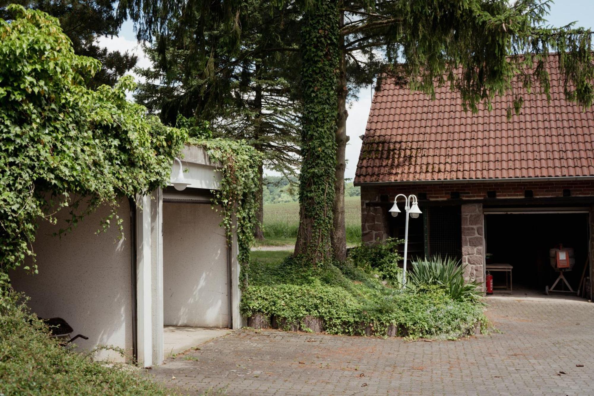 Idyllische Ferienwohnung Im Kalletal ภายนอก รูปภาพ
