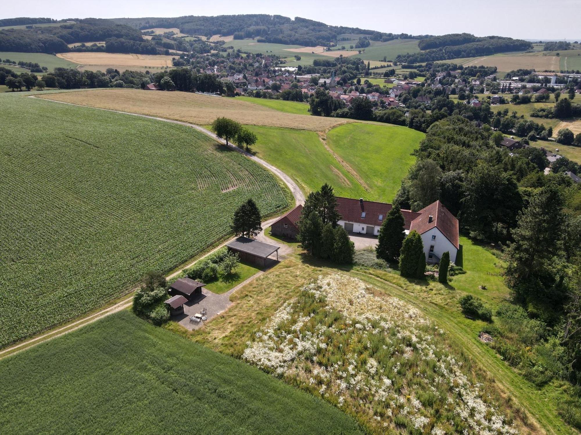 Idyllische Ferienwohnung Im Kalletal ภายนอก รูปภาพ