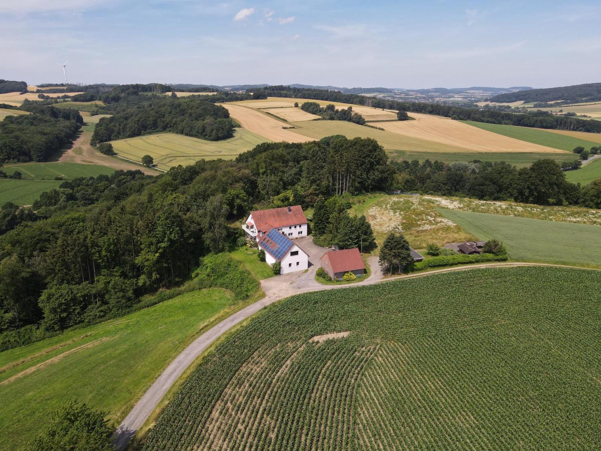 Idyllische Ferienwohnung Im Kalletal ภายนอก รูปภาพ